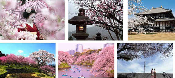 Тур в Японию на цветение Сакуры с авиаперелетом из Москвы